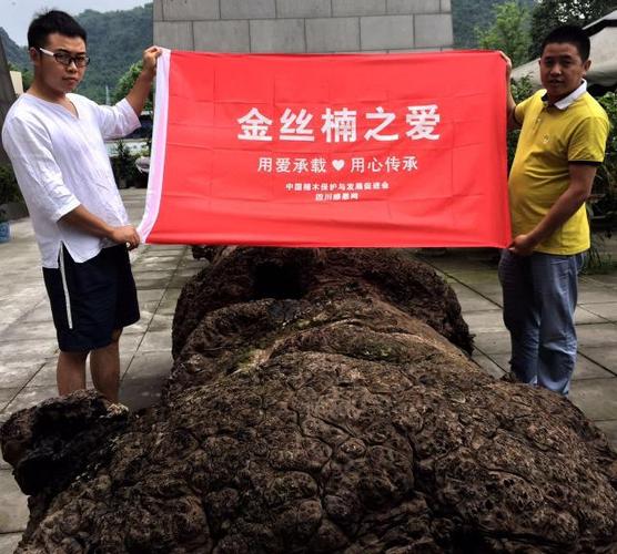 :楠香有情 金丝楠乌木行业向江苏龙卷风灾区献爱心